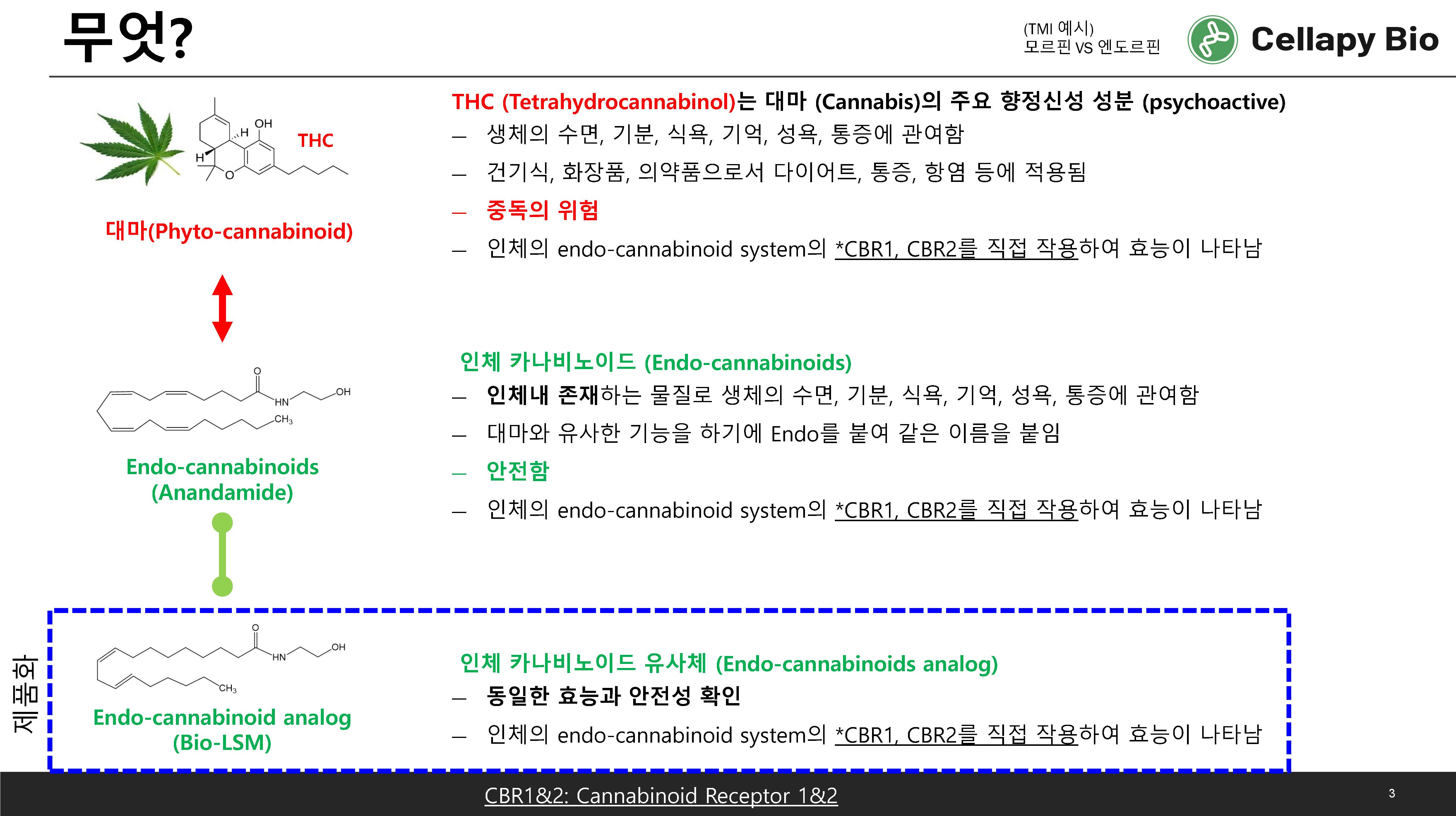 Bio-LSM 설명자료_231108 (대마 유사체, 항염, 피부진정, 보습)_페이지_03.jpg