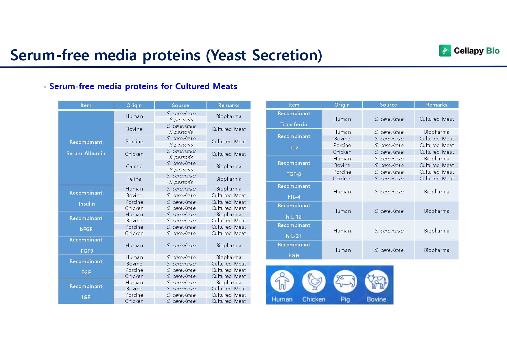 Serum-free media proteins_page-0001.jpg